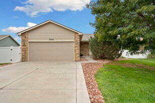 3761 Mt Flora St in Wellington, CO - Building Photo