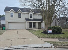 19602 Cotton Creek Dr in Tomball, TX - Building Photo