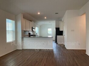 234 Milliner Lp in Hutto, TX - Building Photo - Building Photo