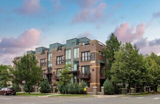 Washington Street Townhomes in Denver, CO - Building Photo