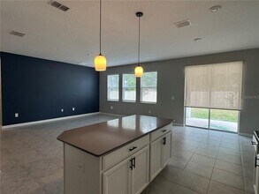 26059 Bristleleaf Ct in Leesburg, FL - Building Photo - Building Photo
