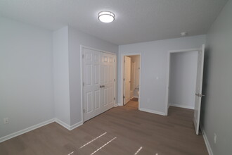 4 bed/4 bath Off-Campus Apartments in Clemson, SC - Building Photo - Building Photo