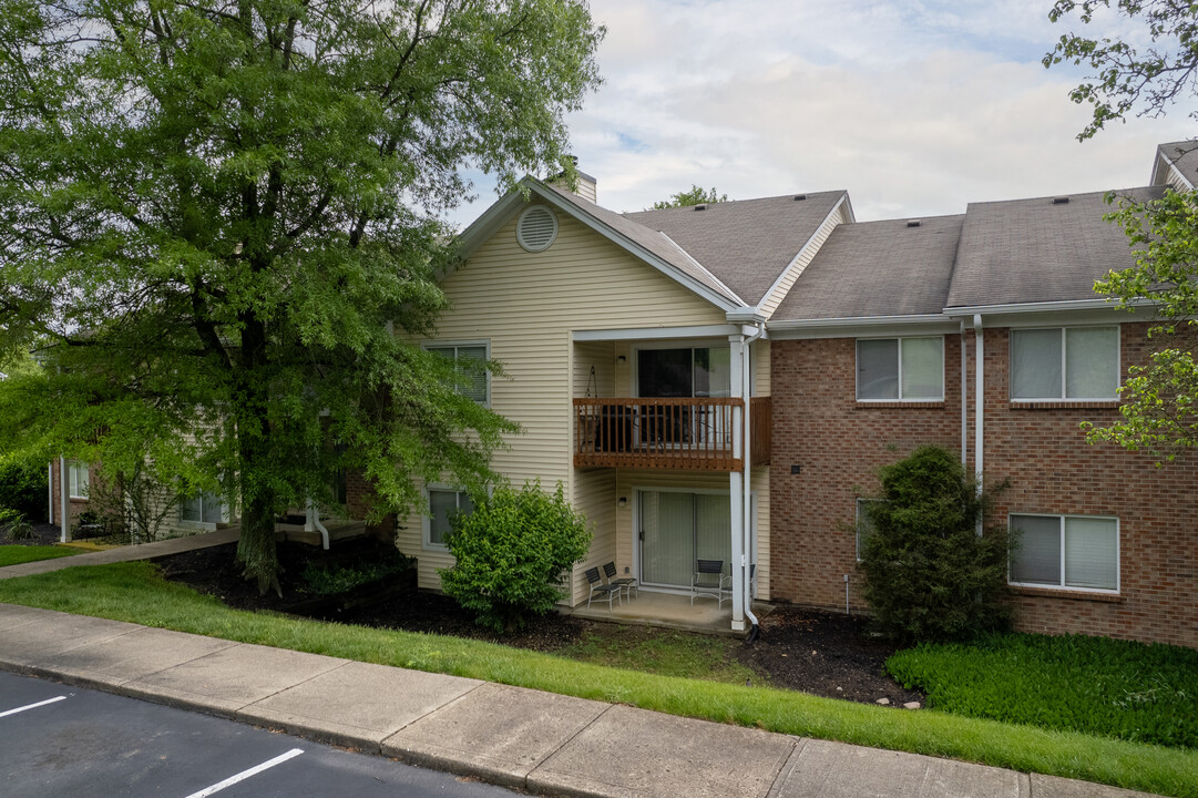 The Village at South Fork Creek in Florence, KY - Foto de edificio