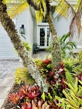 16156 Parque Ln in Naples, FL - Building Photo - Building Photo