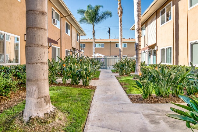 Olive Tree in Costa Mesa, CA - Foto de edificio - Building Photo