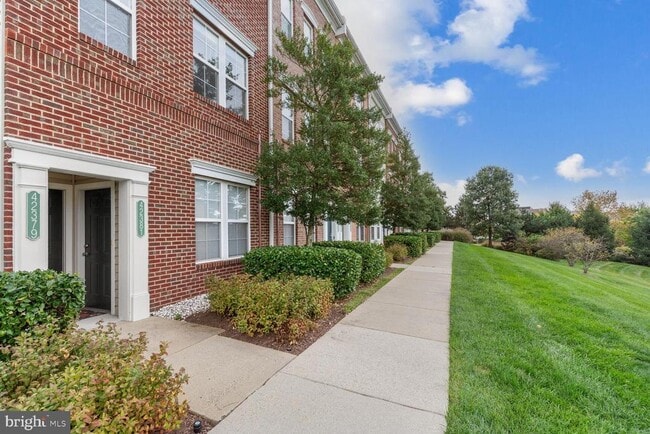 property at 42379 Goldenseal Square