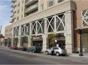 The Venetian in Chicago, IL - Building Photo - Building Photo