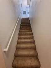 5934 Brickleberry Ln in Zephyrhills, FL - Building Photo - Building Photo