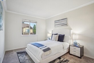 503 Weiner Way in San Ramon, CA - Building Photo - Building Photo