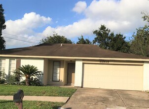 10303 Paintbrush Ln in Sugar Land, TX - Building Photo - Building Photo