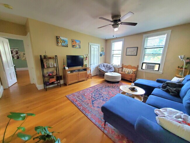 property at 234 Cypress St
