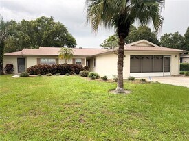 22017 Bass Pl in Land O Lakes, FL - Building Photo