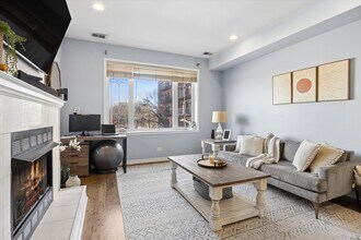 323 W Schiller St in Chicago, IL - Building Photo - Building Photo