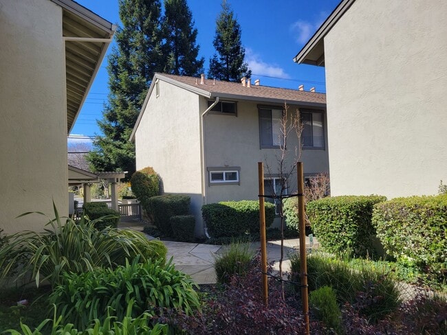 2560 Walnut Blvd in Walnut Creek, CA - Building Photo - Building Photo