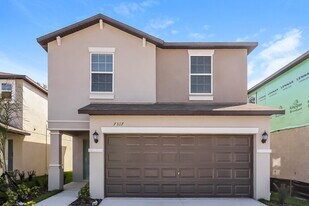 7317 Spring Snowflake Ave in Tampa, FL - Building Photo