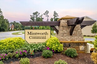 Mintworth Commons in Matthews, NC - Building Photo