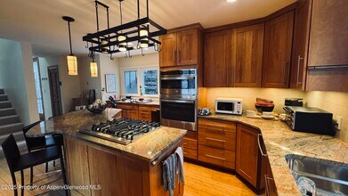 302 Roaring Fork Dr in Aspen, CO - Building Photo - Building Photo