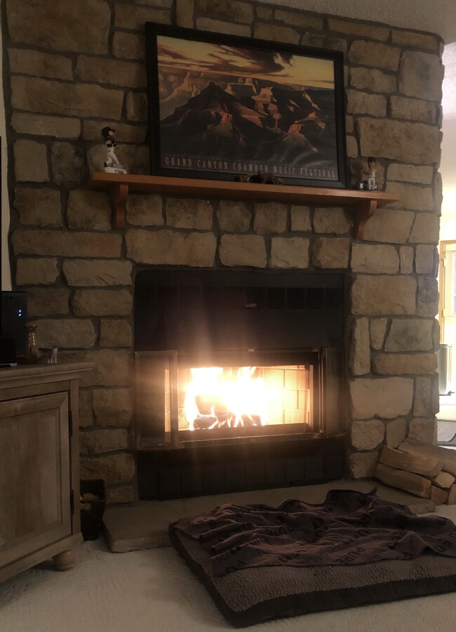 8185 S Fillmore Cir in Centennial, CO - Building Photo - Building Photo