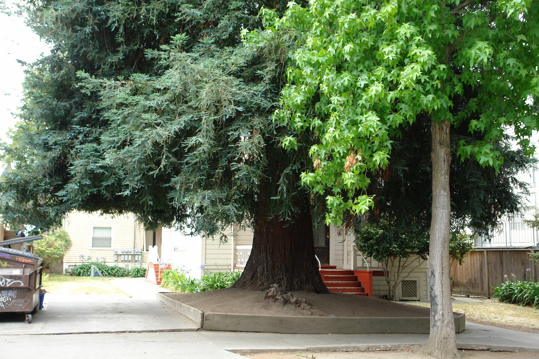 2232 Haste St in Berkeley, CA - Building Photo