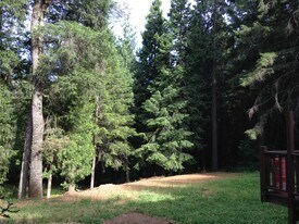 13975 Wings of Morning Dr, Unit House Apt. in Nevada City, CA - Building Photo