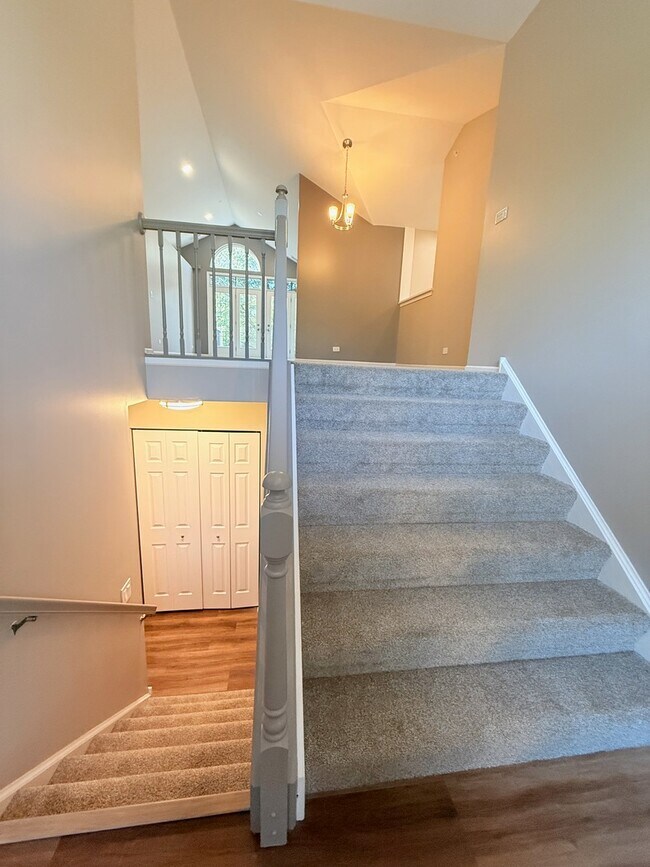 1623 Camberley Ct in Bartlett, IL - Building Photo - Building Photo