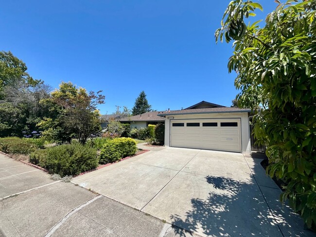 1078 Cuesta Dr in Mountain View, CA - Building Photo - Building Photo