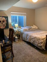 5582 Bristow Rd in Timnath, CO - Building Photo