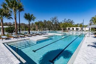 16808 Forge Surf St in Land O Lakes, FL - Building Photo - Building Photo