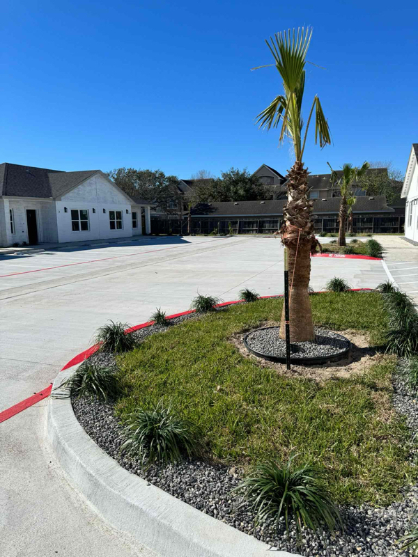 1806 Atrium Pl Dr in Harlingen, TX - Building Photo - Building Photo