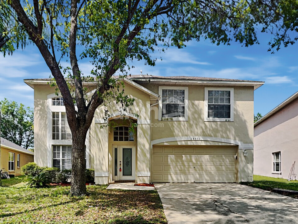 18916 Nest Fern Cir in Tampa, FL - Building Photo