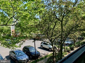 20301 Beechwood Terrace in Ashburn, VA - Building Photo - Building Photo