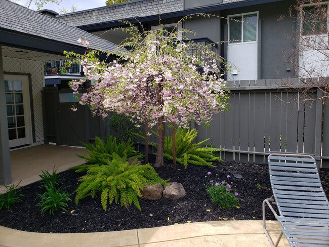 Sycamore Green Apartments in Concord, CA - Building Photo - Building Photo