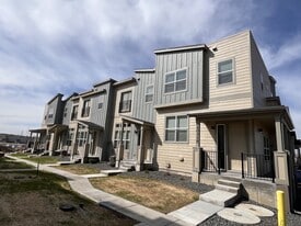 The Townhomes at Pine Drive in Parker, CO - Building Photo