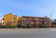 City Center Commons North in San Pablo, CA - Building Photo - Building Photo