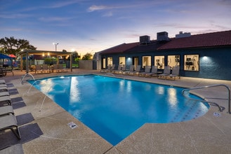 Chandler Meadows Apartments in Chandler, AZ - Building Photo - Building Photo