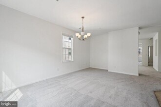 24682 Lynette Spgs Ter in Aldie, VA - Building Photo - Building Photo