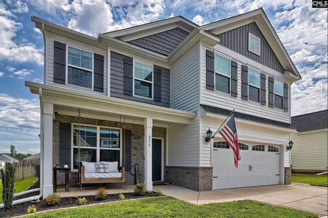 256 Wessinger Farms Rd in Chapin, SC - Building Photo - Building Photo