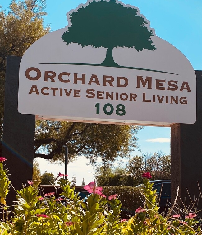 Orchard Mesa in Mesa, AZ - Foto de edificio - Building Photo