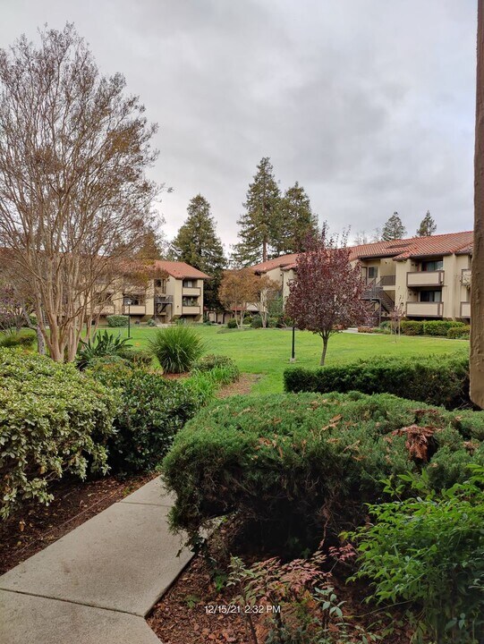 46953 Chemult Cmm in Fremont, CA - Foto de edificio
