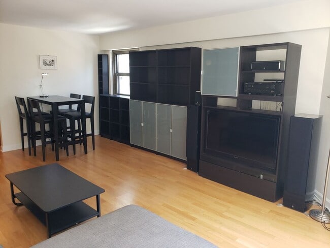 535 N Michigan Ave in Chicago, IL - Building Photo - Building Photo
