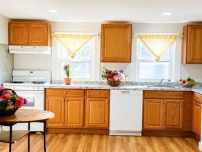8 Ralph Piteri Terrace in Watertown, MA - Building Photo - Building Photo