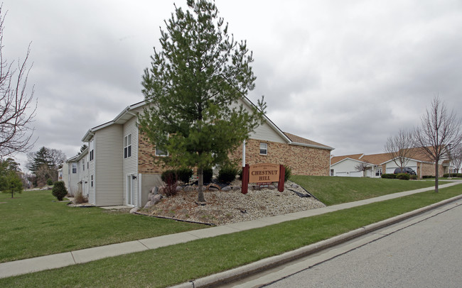 The Condominiums on Chestnut Hill in Kenosha, WI - Building Photo - Building Photo