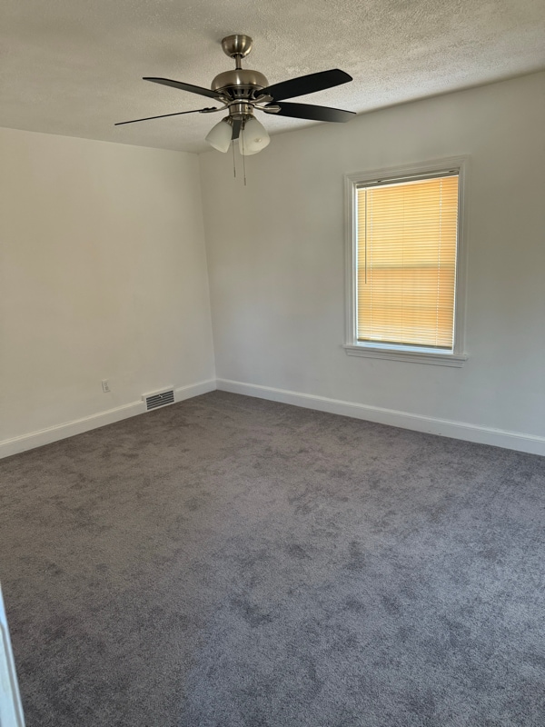 318 Macon Ave in Louisville, KY - Foto de edificio - Building Photo