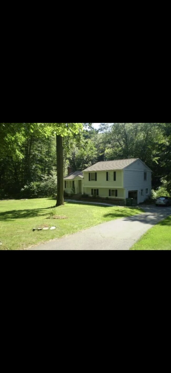 351 Tunxis Ave in Bloomfield, CT - Building Photo - Building Photo