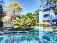 SunBlossom Mountain photo'