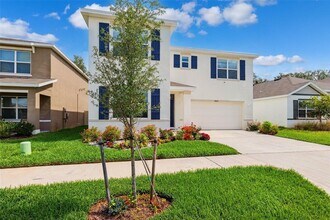 33657 Field Maple Lp in Wesley Chapel, FL - Building Photo - Building Photo