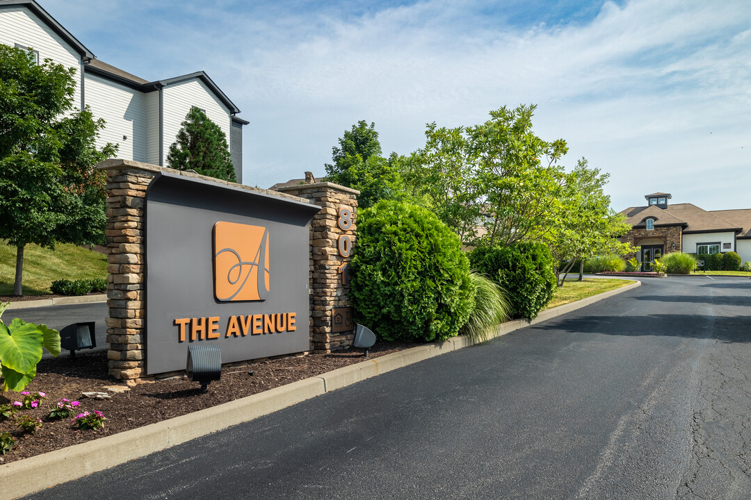 The Avenue at Nicholasville in Nicholasville, KY - Foto de edificio