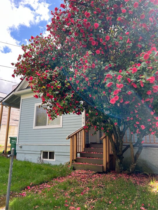 1919 N 50th St in Seattle, WA - Foto de edificio