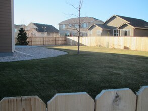 427 Bow Creek Ln in Fort Collins, CO - Building Photo - Building Photo