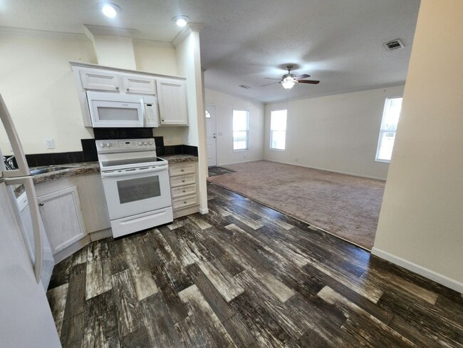 349 Hans Brinker St in North Fort Myers, FL - Building Photo - Building Photo